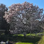 Solvang Assens